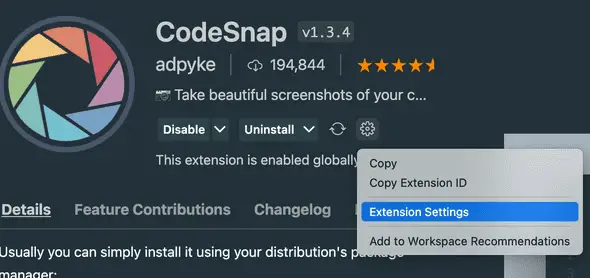 CodeSnap other settings